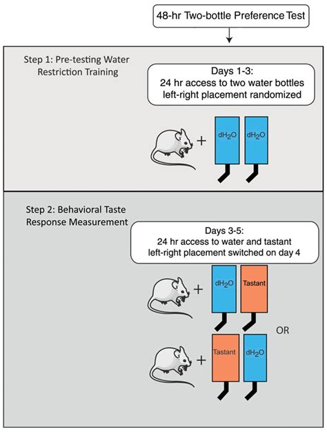 what is a 2 bottle preference test|2 bottle alcohol preference study.